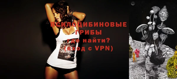 мдма Богородицк