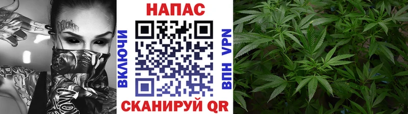 Купить где  Воткинск  Бошки марихуана AK-47 